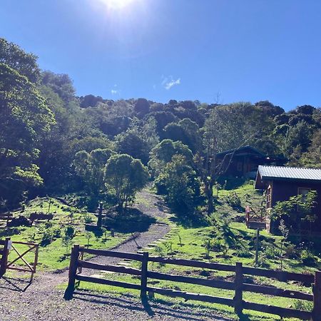 Curuba Lodge Copey Dış mekan fotoğraf