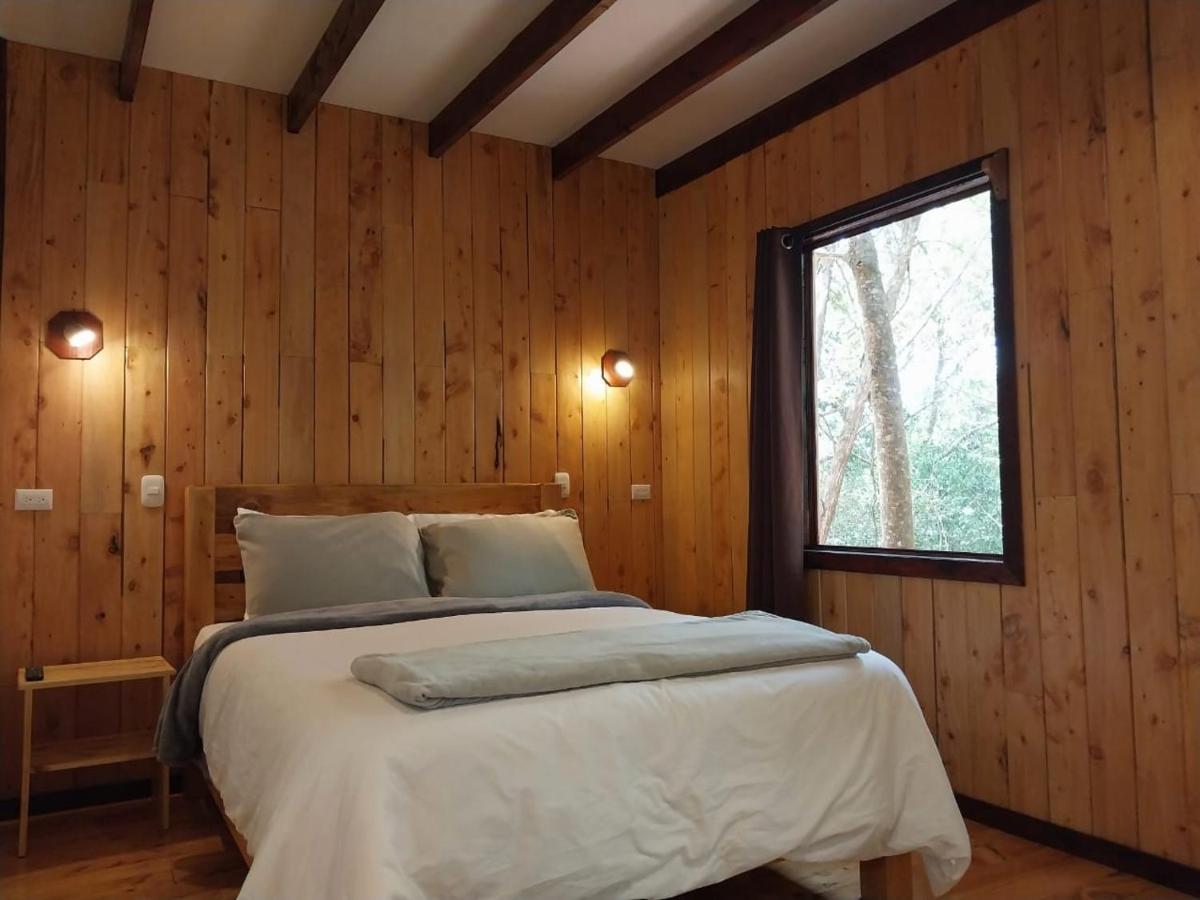Curuba Lodge Copey Dış mekan fotoğraf