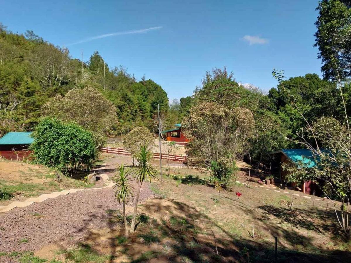 Curuba Lodge Copey Dış mekan fotoğraf
