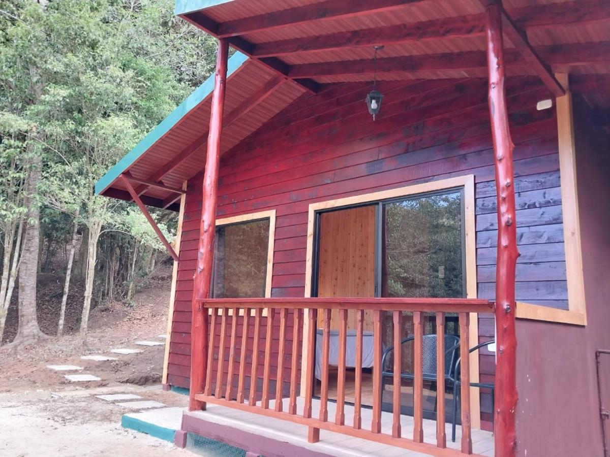 Curuba Lodge Copey Dış mekan fotoğraf
