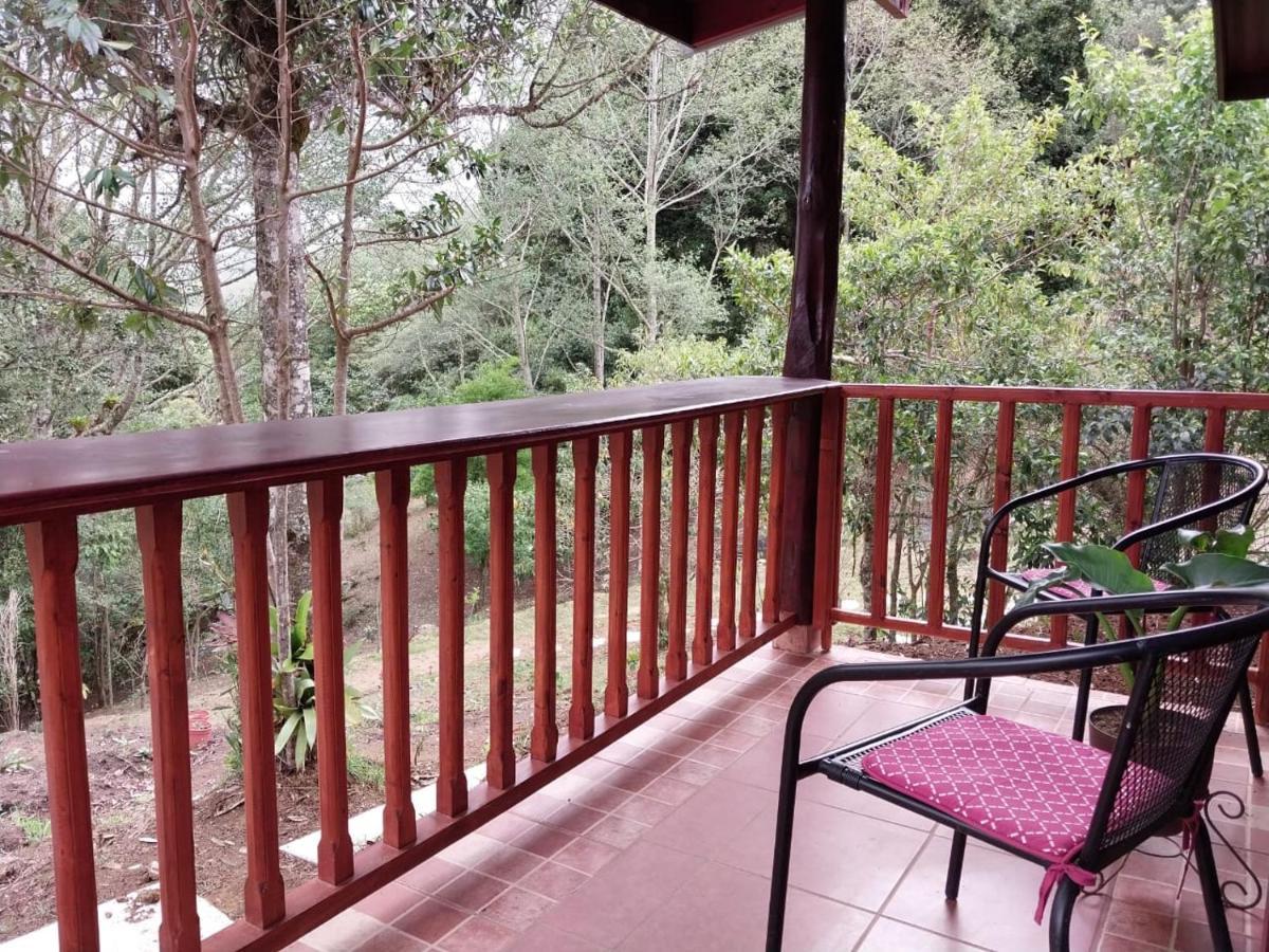 Curuba Lodge Copey Dış mekan fotoğraf