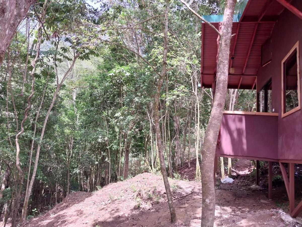 Curuba Lodge Copey Dış mekan fotoğraf