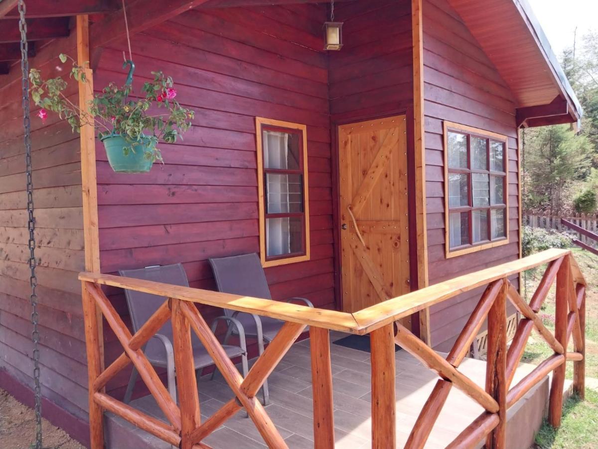 Curuba Lodge Copey Dış mekan fotoğraf