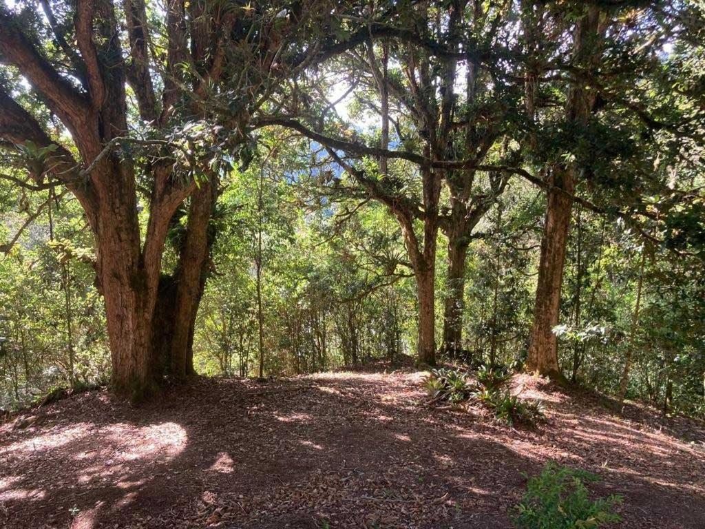 Curuba Lodge Copey Dış mekan fotoğraf