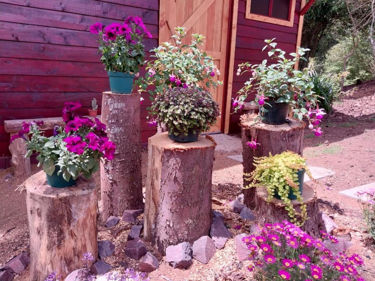 Curuba Lodge Copey Dış mekan fotoğraf
