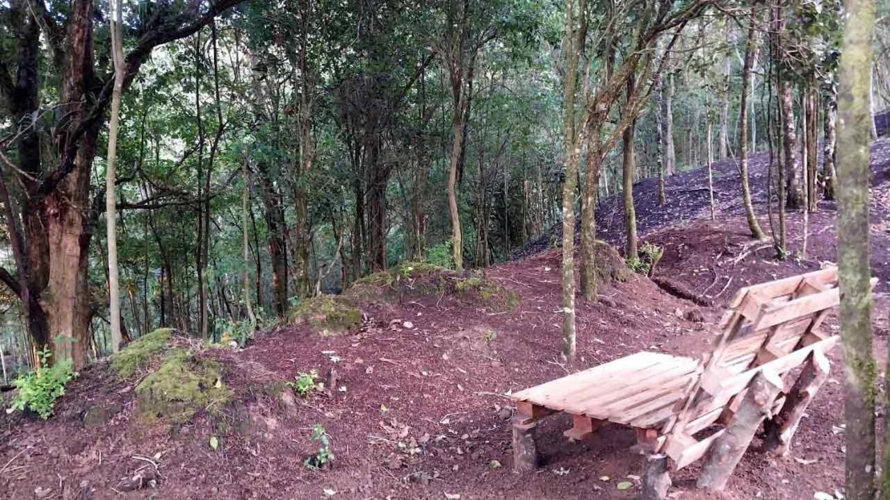 Curuba Lodge Copey Dış mekan fotoğraf