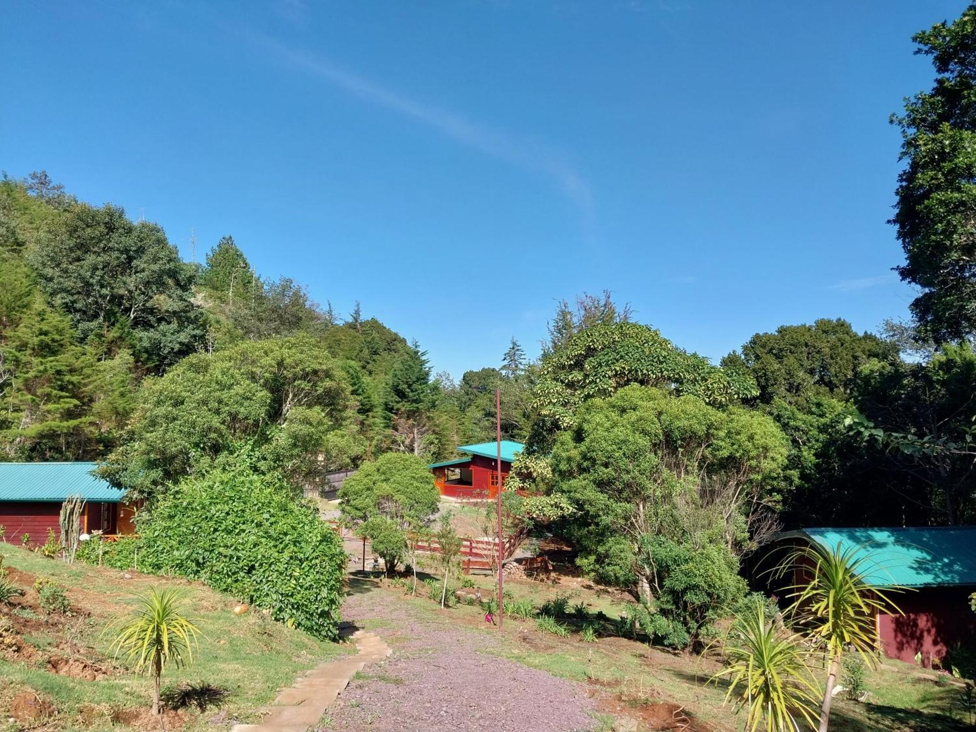 Curuba Lodge Copey Dış mekan fotoğraf