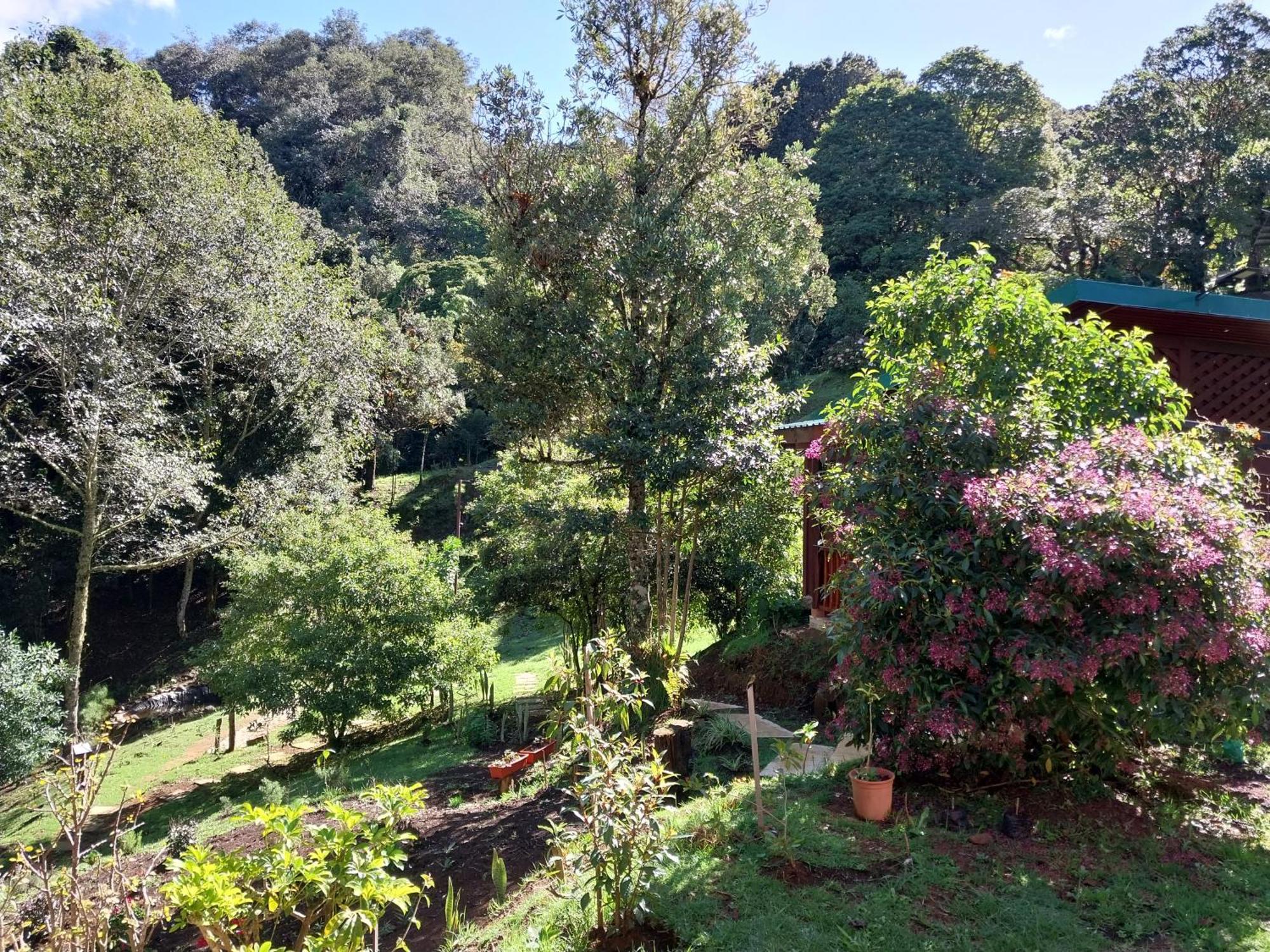 Curuba Lodge Copey Dış mekan fotoğraf
