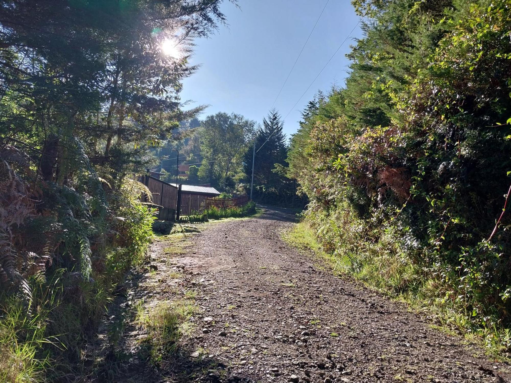 Curuba Lodge Copey Dış mekan fotoğraf