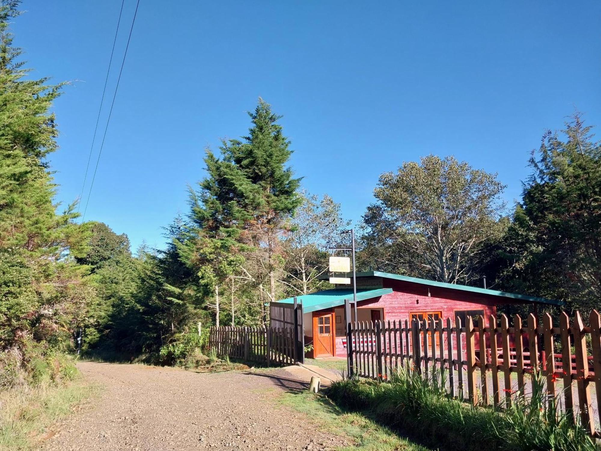 Curuba Lodge Copey Dış mekan fotoğraf