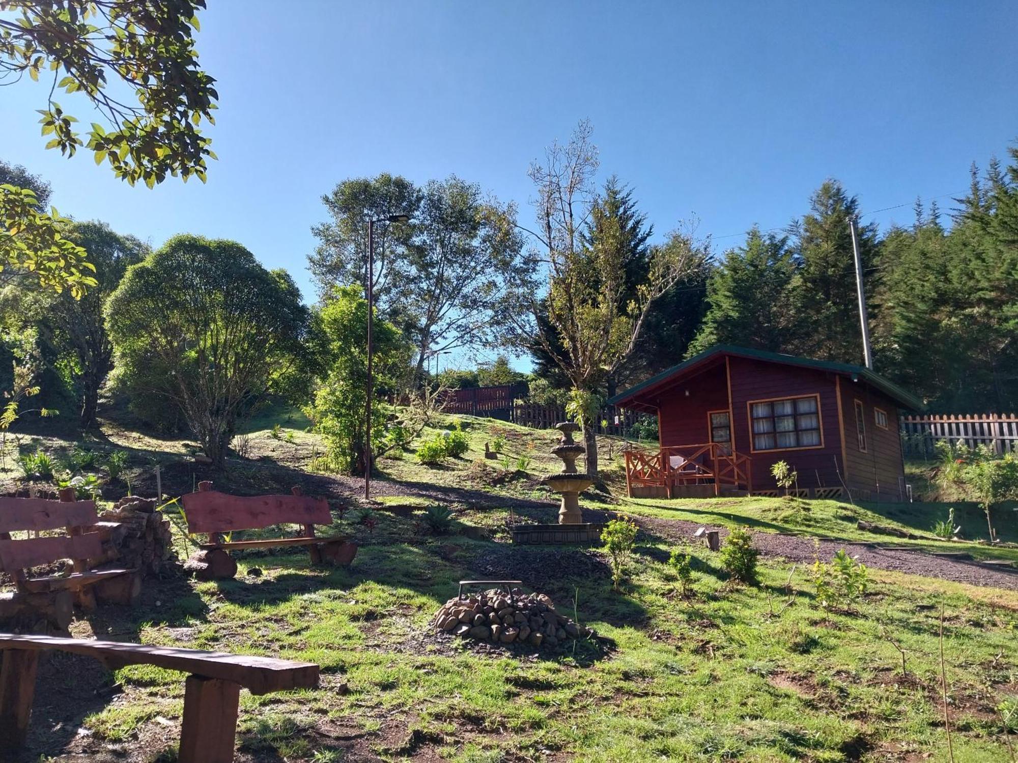 Curuba Lodge Copey Dış mekan fotoğraf