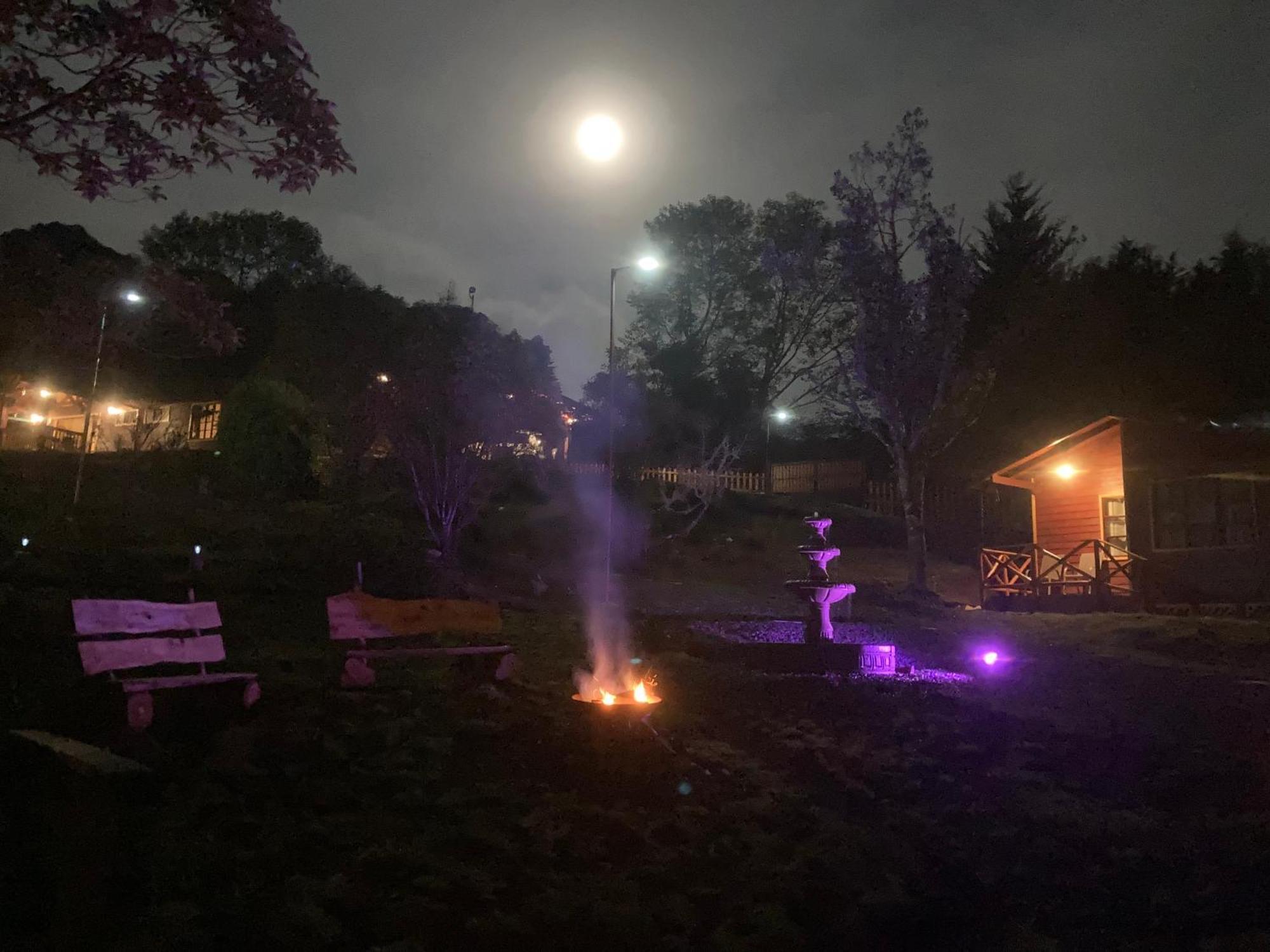 Curuba Lodge Copey Dış mekan fotoğraf