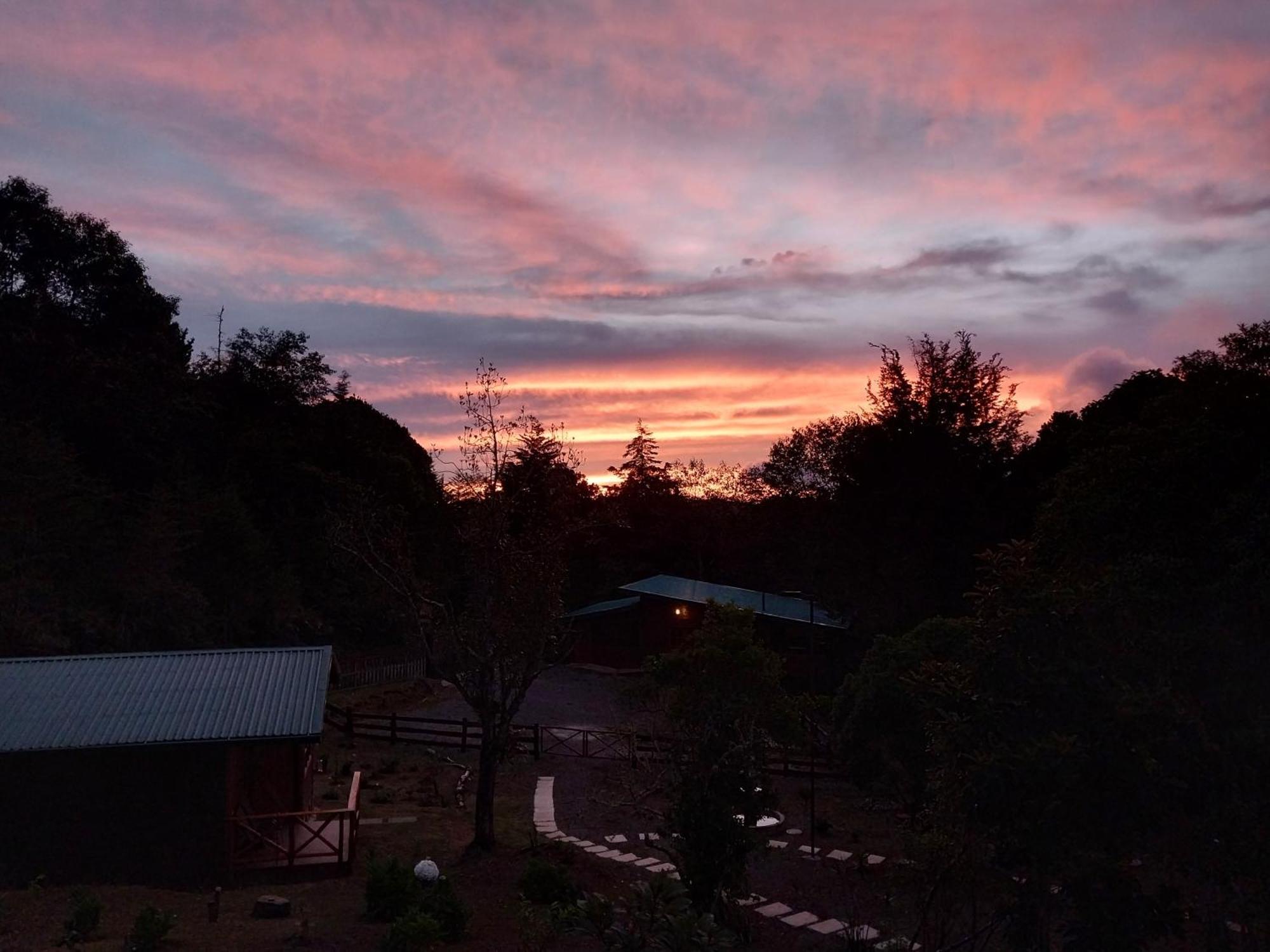 Curuba Lodge Copey Dış mekan fotoğraf