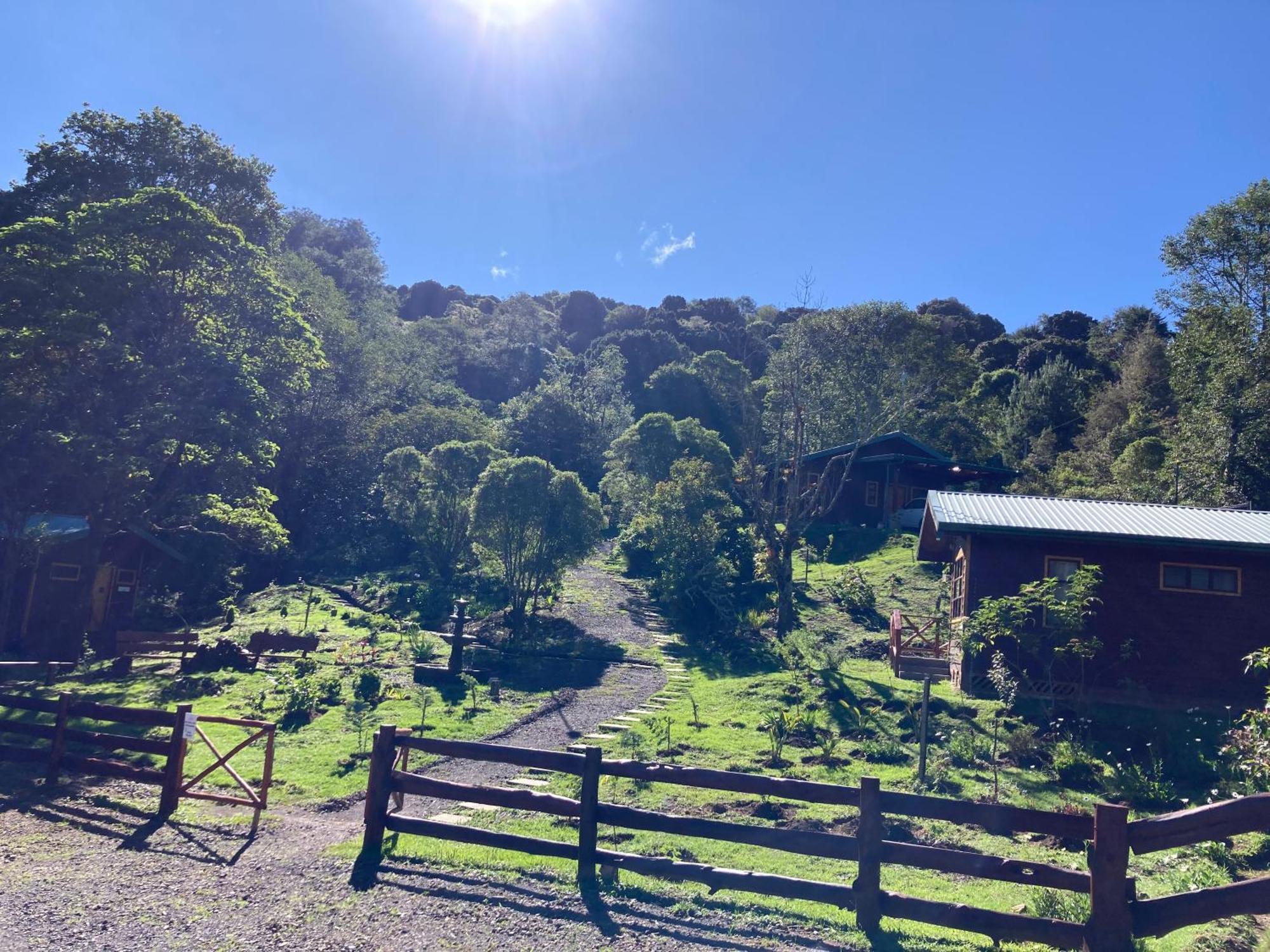 Curuba Lodge Copey Dış mekan fotoğraf