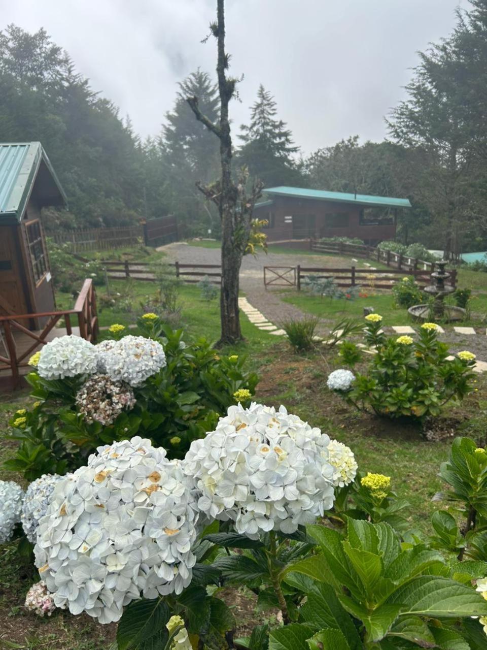 Curuba Lodge Copey Dış mekan fotoğraf