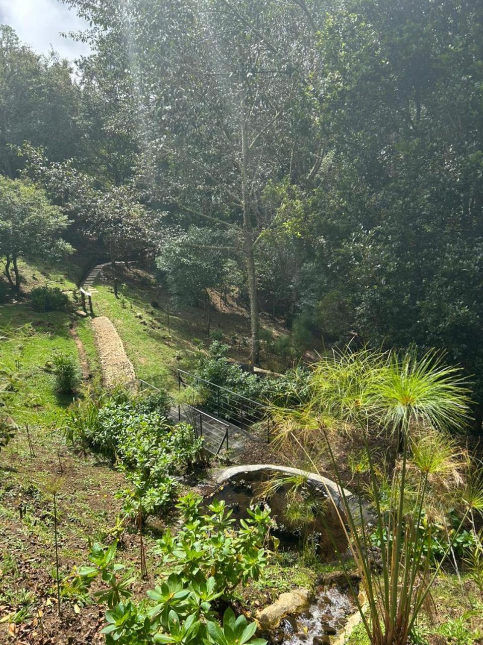 Curuba Lodge Copey Dış mekan fotoğraf