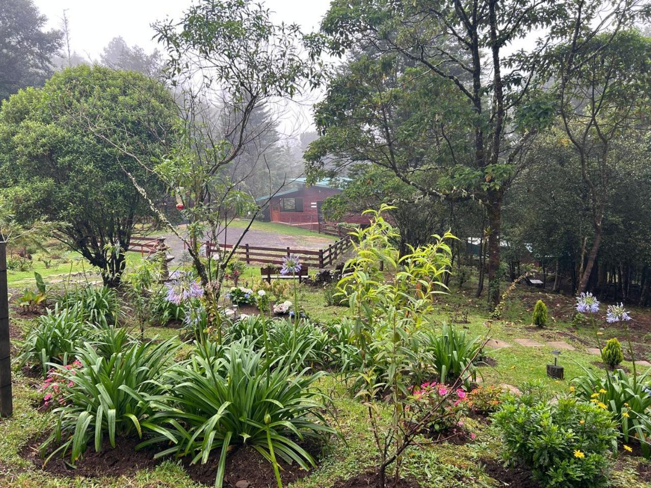Curuba Lodge Copey Dış mekan fotoğraf