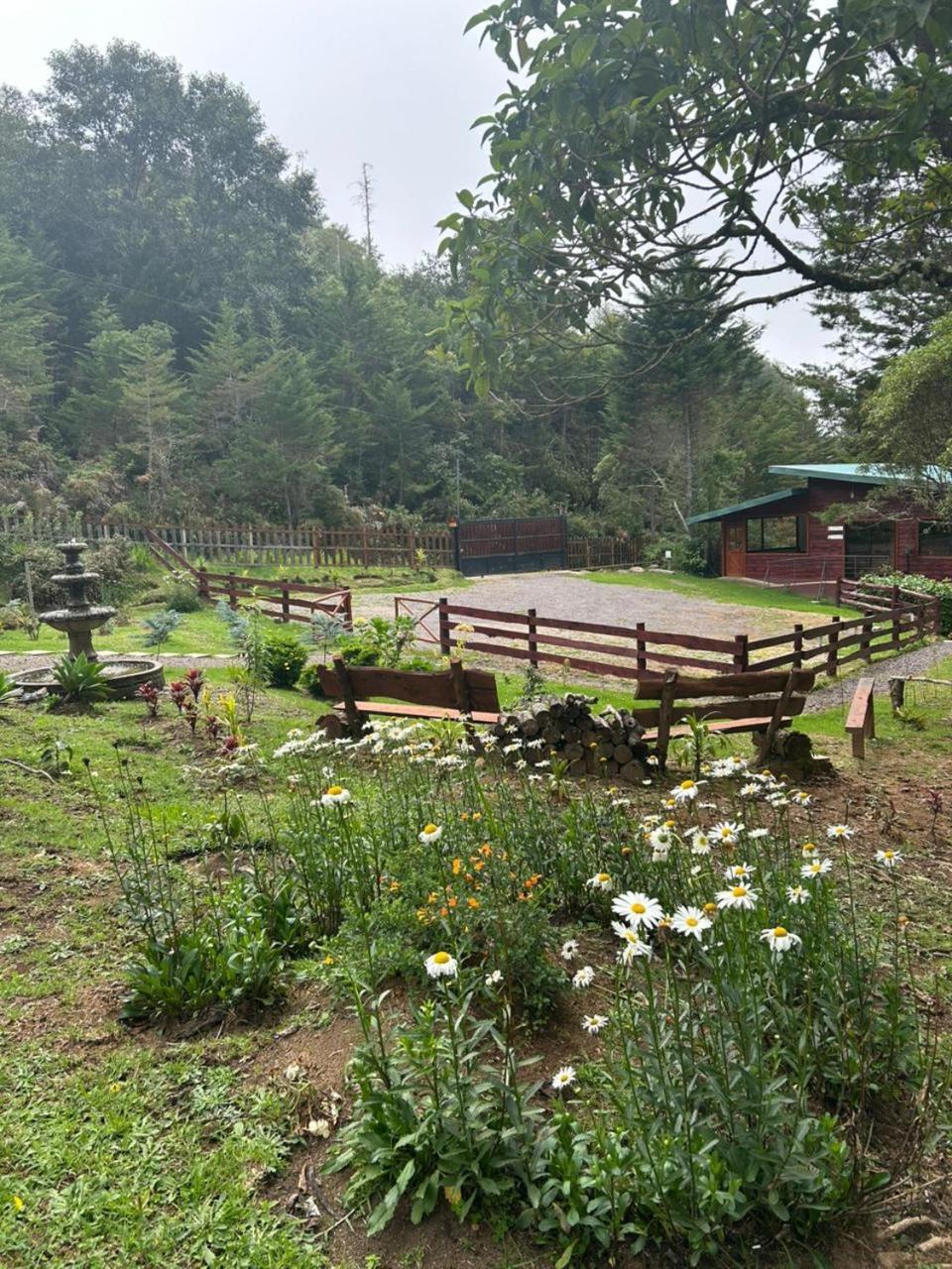 Curuba Lodge Copey Dış mekan fotoğraf