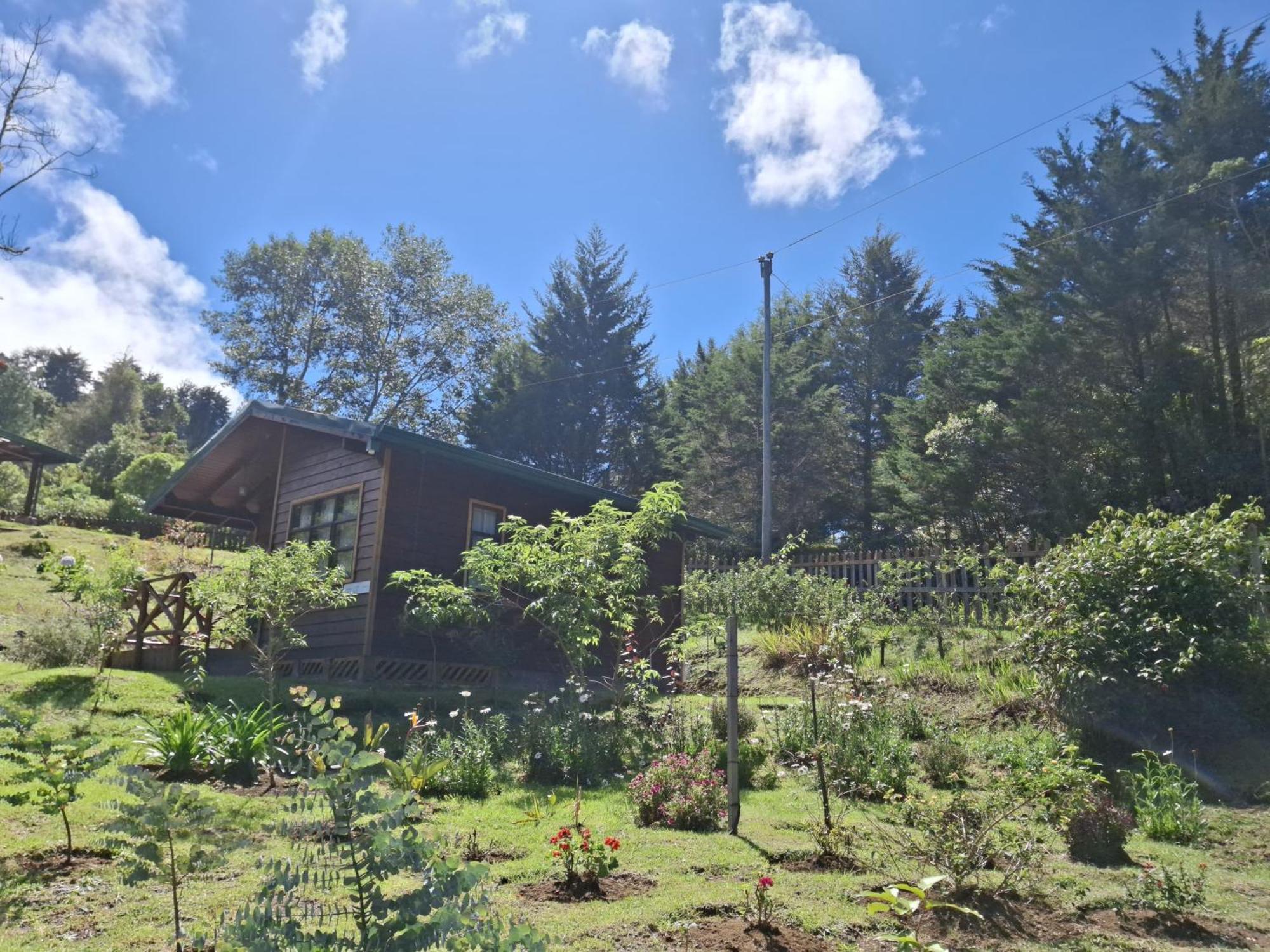 Curuba Lodge Copey Dış mekan fotoğraf