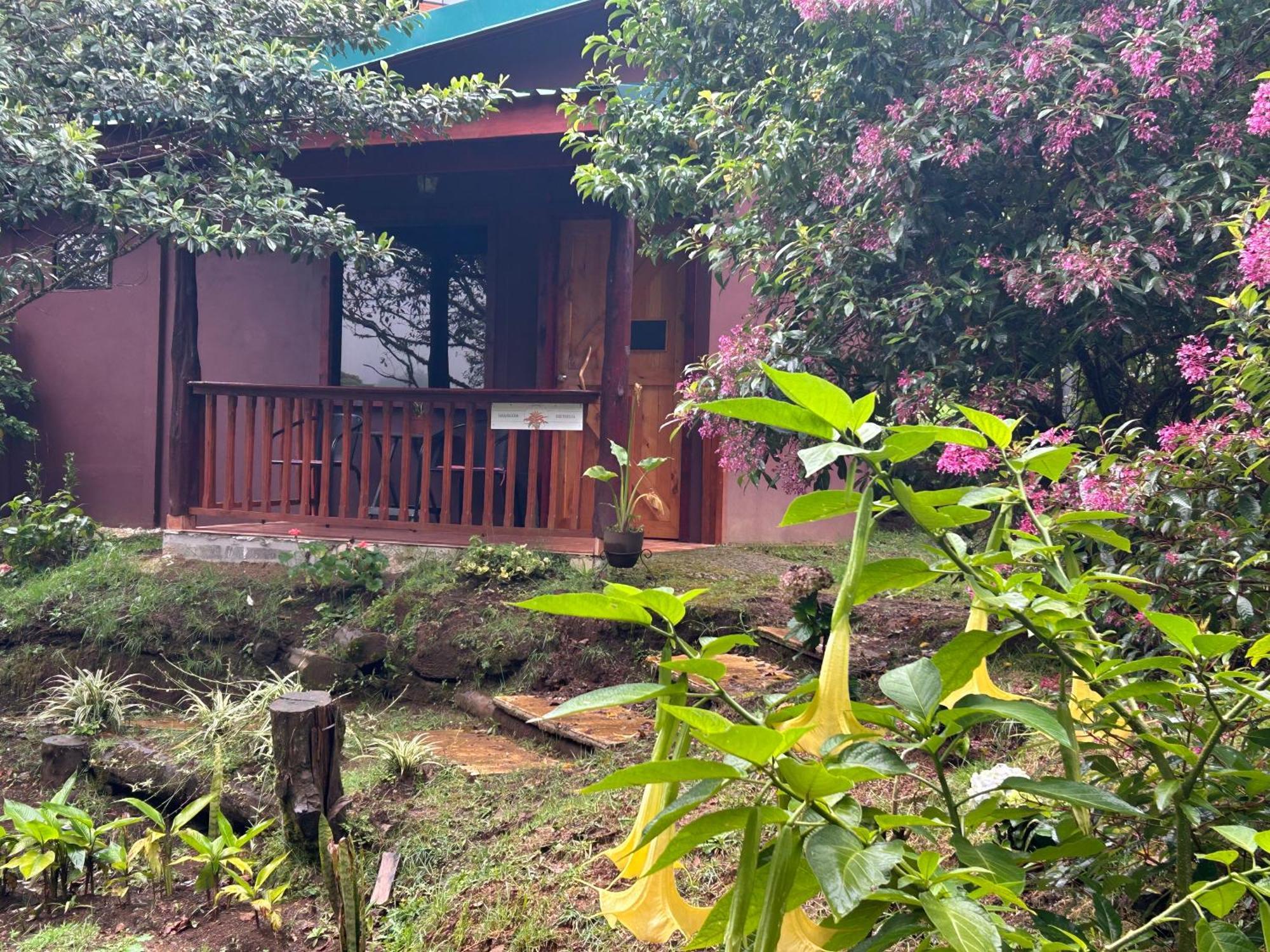 Curuba Lodge Copey Dış mekan fotoğraf