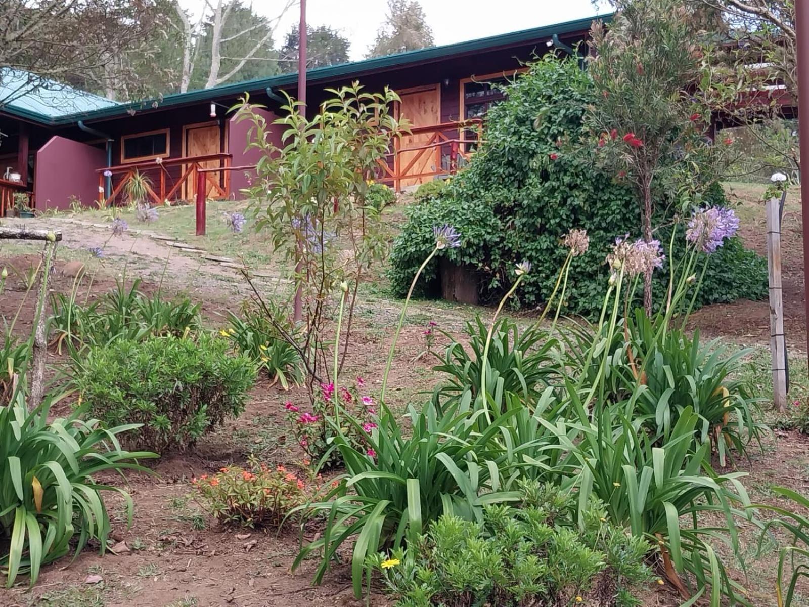 Curuba Lodge Copey Dış mekan fotoğraf