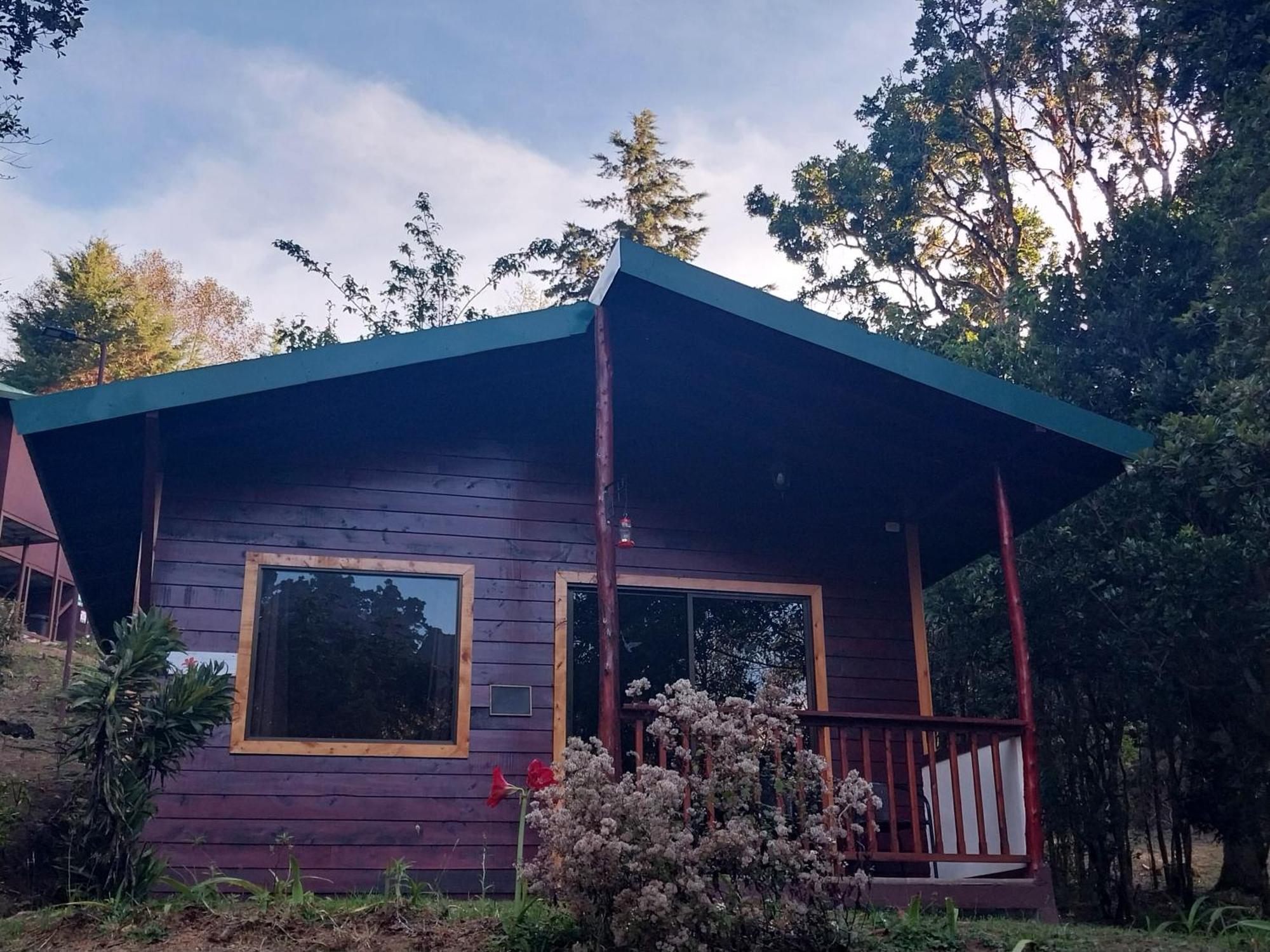 Curuba Lodge Copey Dış mekan fotoğraf