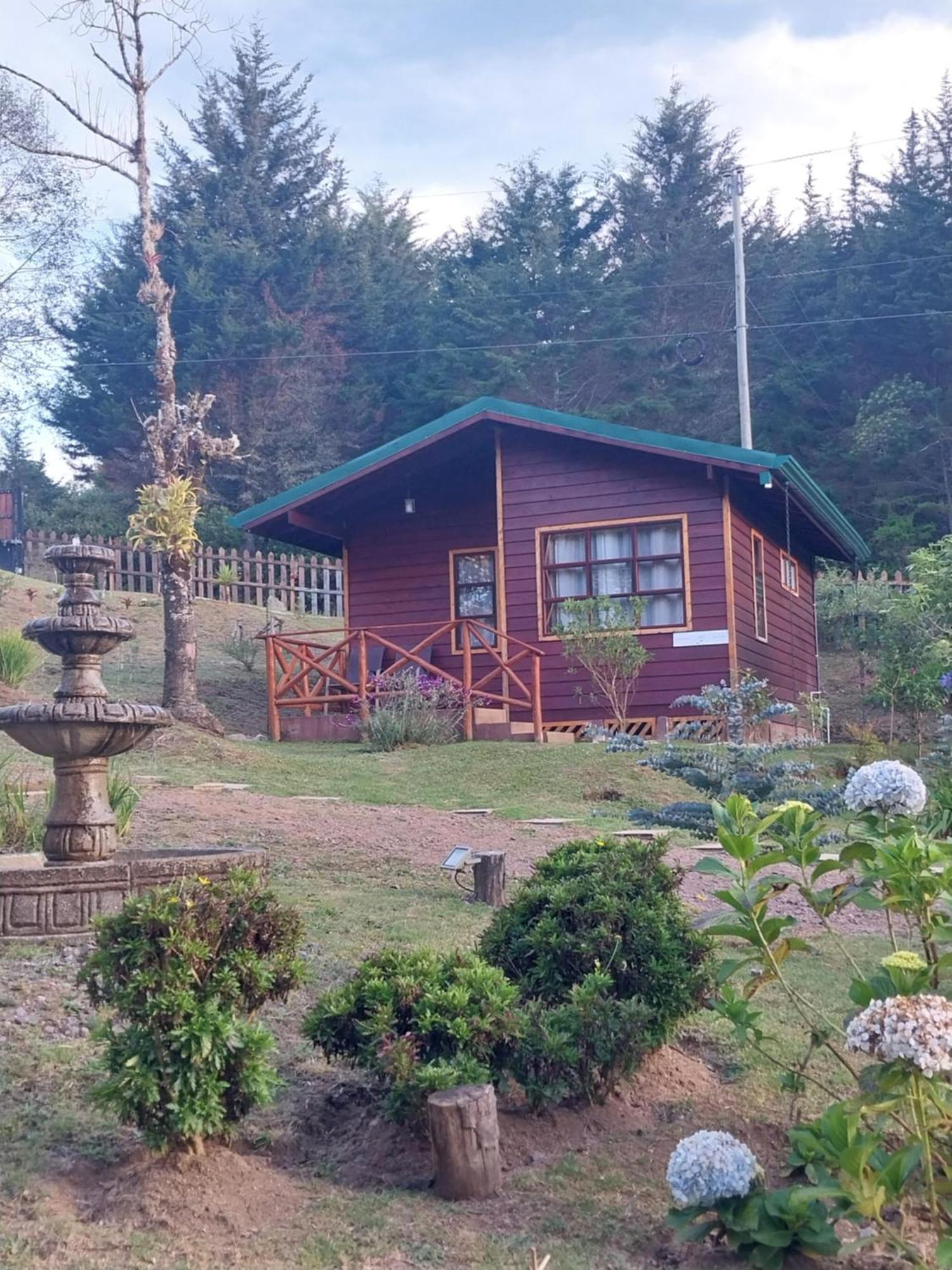 Curuba Lodge Copey Dış mekan fotoğraf