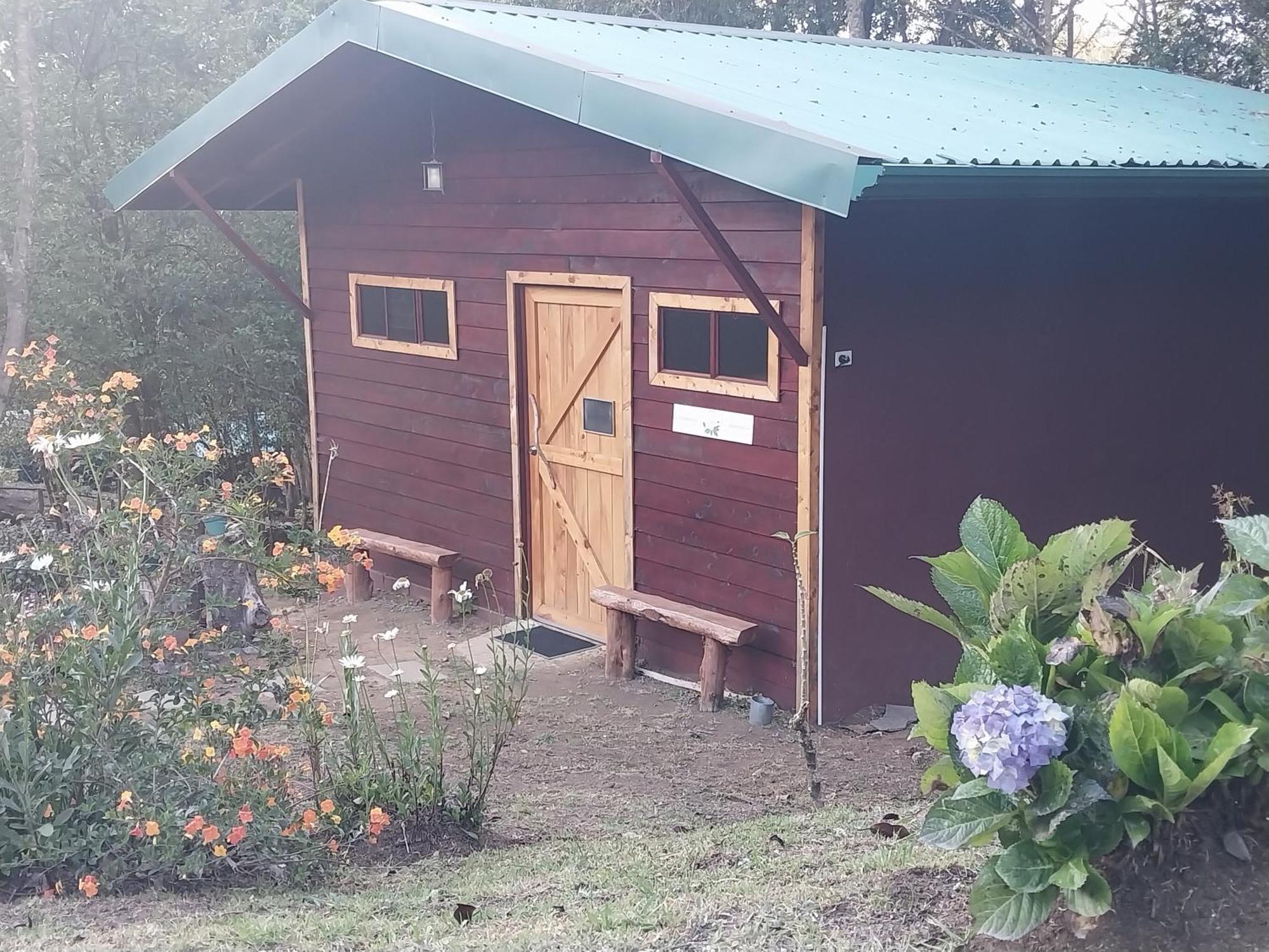 Curuba Lodge Copey Dış mekan fotoğraf